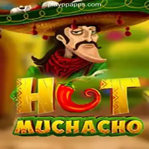 HotMuchacho: A Closer Look at the Online Slots Sensation